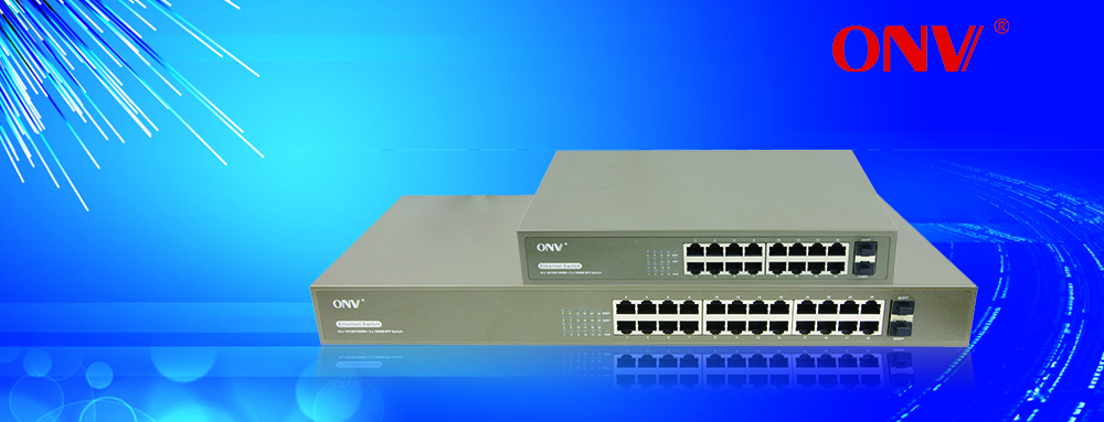 經(jīng)濟型交換機-便宜交換機-渠道交換機